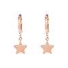Brinco-Argola-Estrela-Rose-Folheado-01
