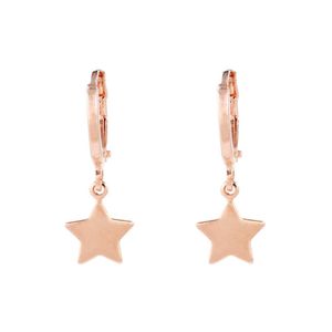 Brinco-Argola-Estrela-Rose-Folheado-01