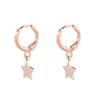 Brinco-Argola-Estrela-Rose-Folheado-02