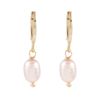 Brinco-Argola-Perola-Rosa-Pequeno-Dourado-Folheado-01
