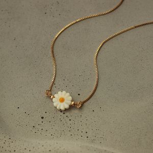 Colar-Margarida-Madreperola-Mini-Banhado-Ouro-18k-06