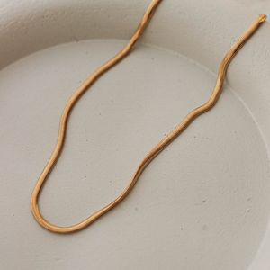 Colar-Choker-Espinha-Fina-Banho-Ouro-18k-01